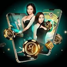 505 bet com